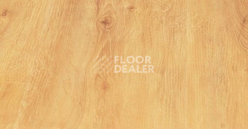 Кварцвиниловые полы Vinilpol Click 5мм 7896-EIR Дуб Флоренция фото 1 | FLOORDEALER